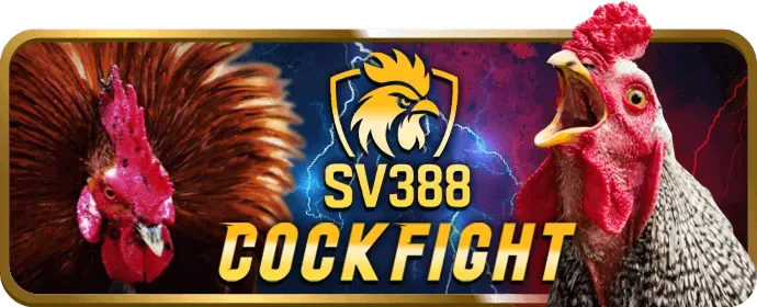 Hình ảnh minh họa cookie quảng cáo và tiếp thị của xvip code